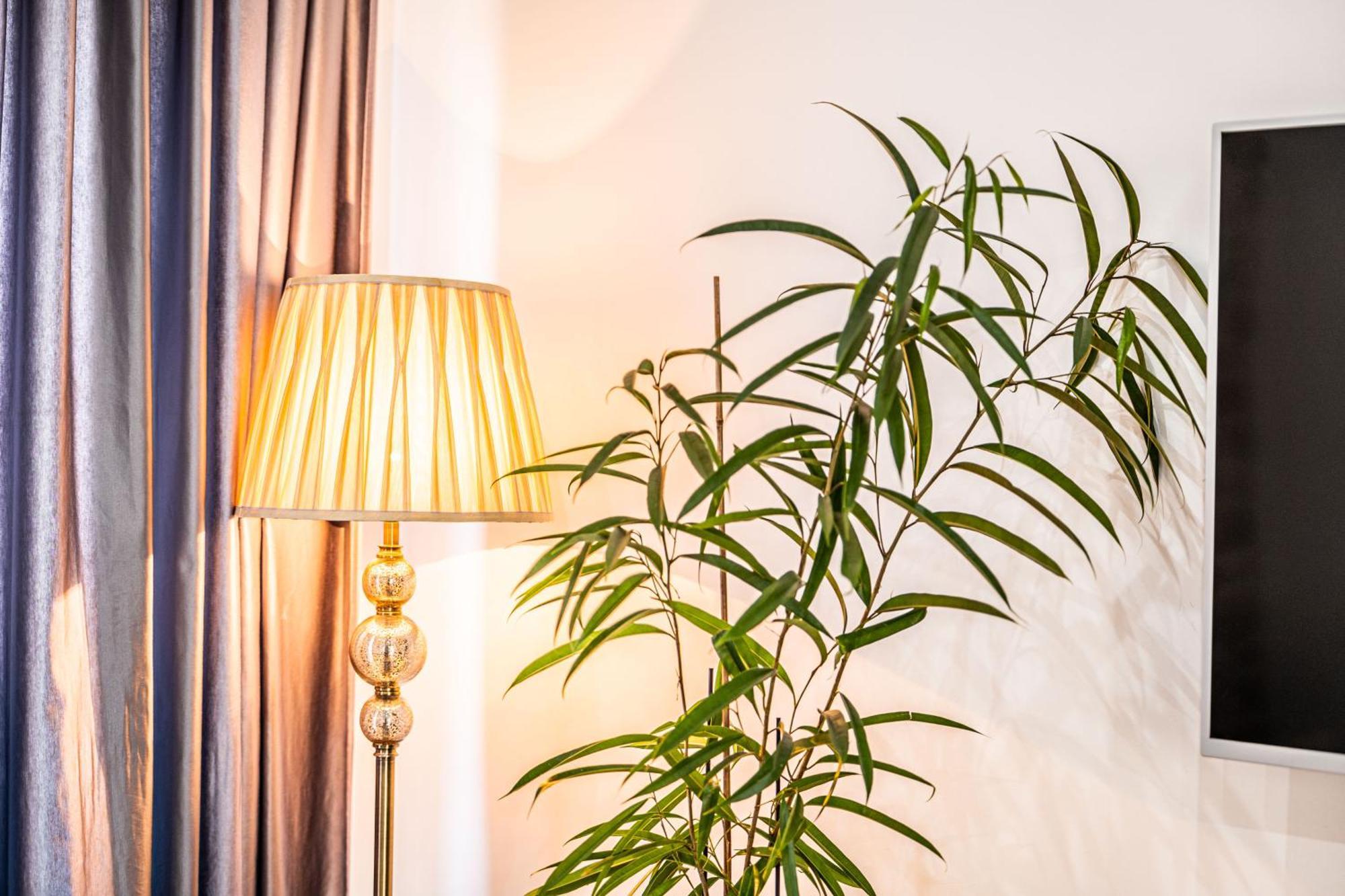 Apartment Lilly Сплит Экстерьер фото